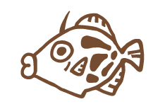 魚